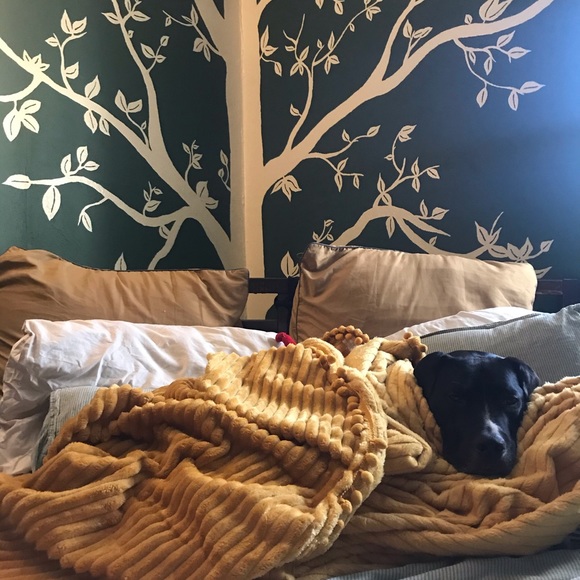 Meet your Posher, Adina - Picture 5 of 5